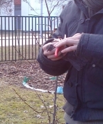 kép