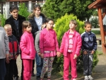kép
