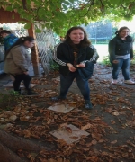 kép