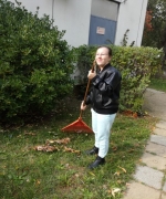 kép